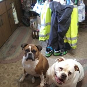 Meet your Posher, Hilary